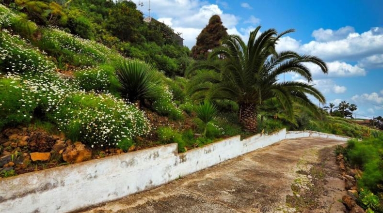 Santa Cruz de Tenerife - La Guancha - 9927m2