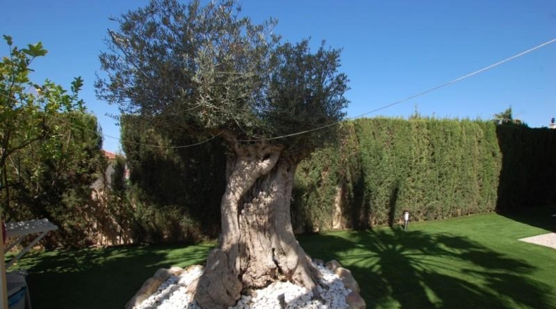 Alicante - Rojales - 760m2