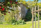 Finca rústica en venta en la España, Eiravedra, ref: TR402788 foto