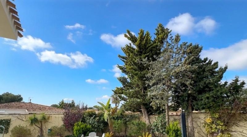 Alicante - Orihuela - 450m2