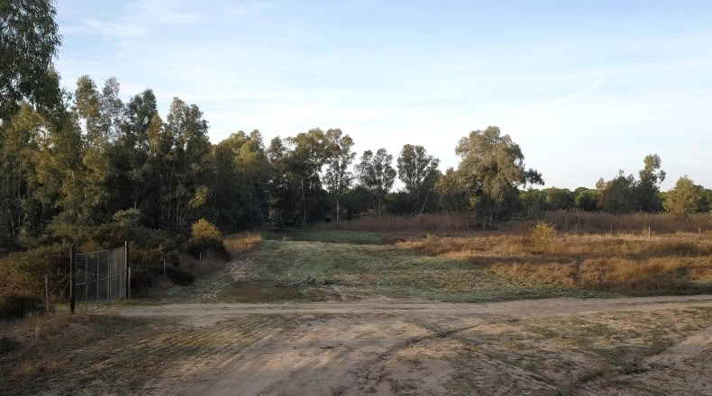Huelva - Moguer - 1500000m2
