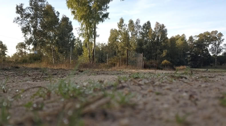 Huelva - Moguer - 1500000m2