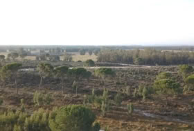 Moguer 1500000&nbsp;м²