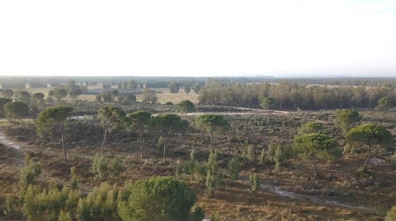 Huelva - Moguer - 1500000m2