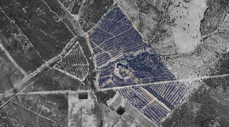 Huelva - Moguer - 1500000m2