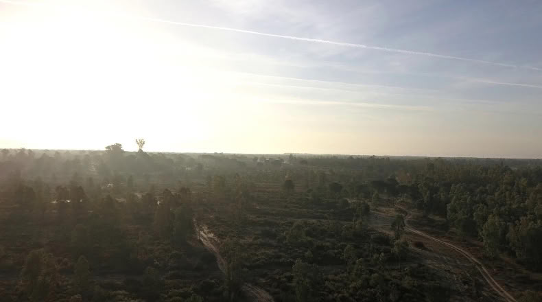 Huelva - Moguer - 1500000m2