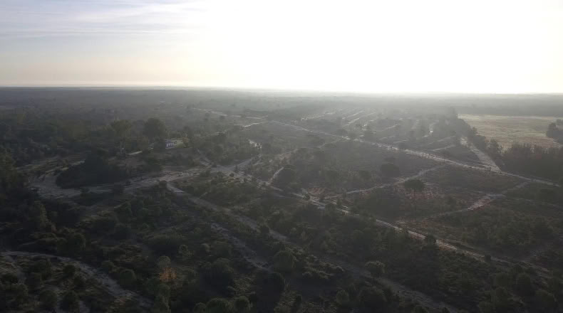 Huelva - Moguer - 1500000m2