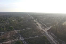 Moguer 1500000&nbsp;м²