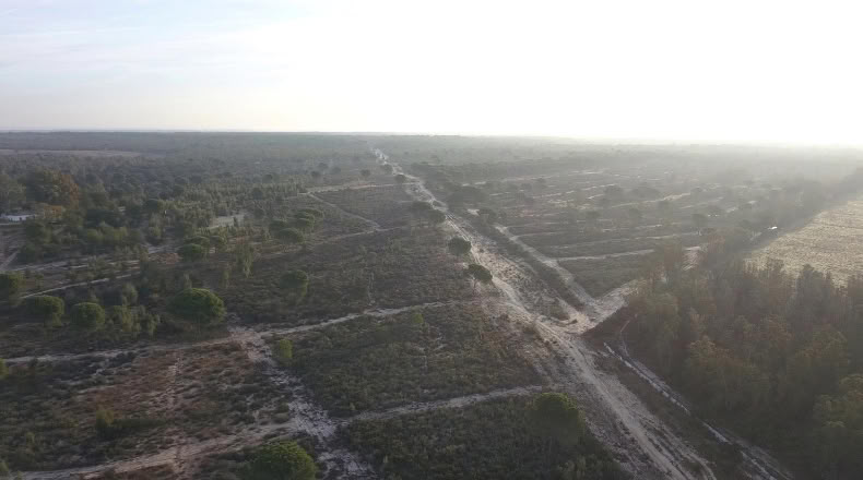 Huelva - Moguer - 1500000m2