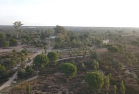 Moguer 1500000&nbsp;м²