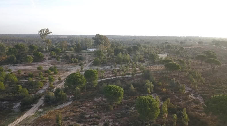 Huelva - Moguer - 1500000m2