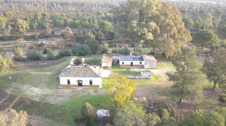 Huelva - Moguer - 1500000m2