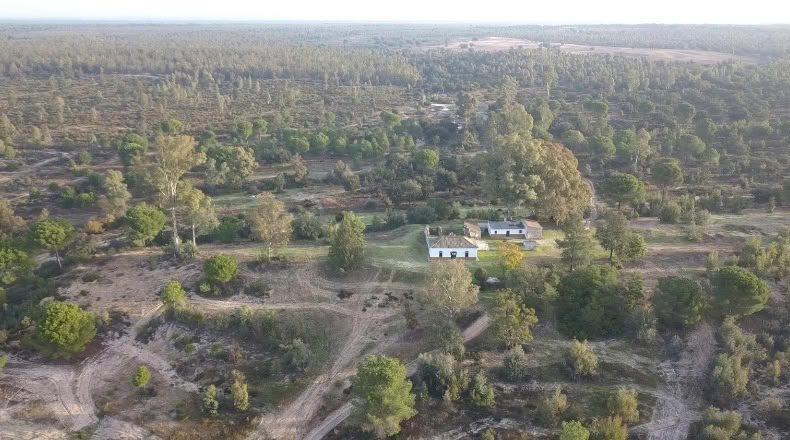 Huelva - Moguer - 1500000m2