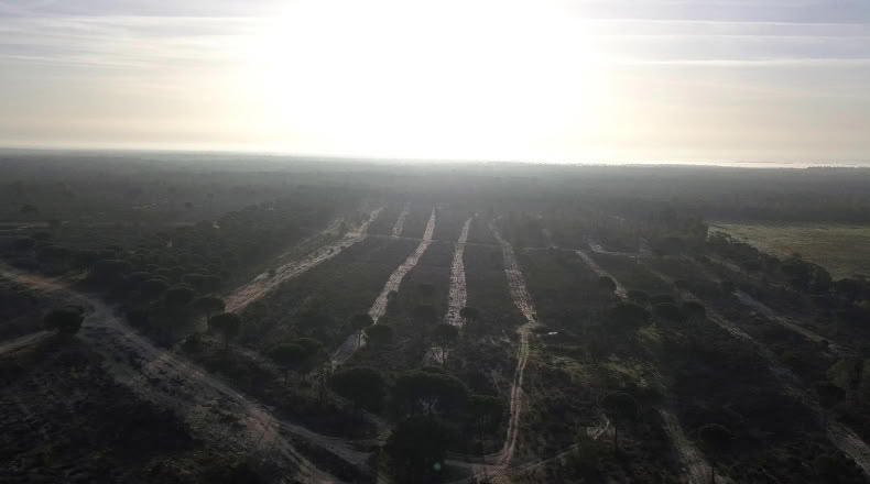 Huelva - Moguer - 1500000m2