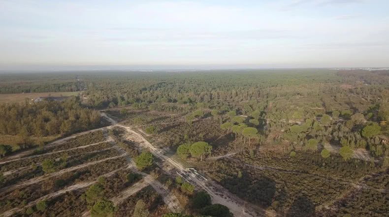 Huelva - Moguer - 1500000m2