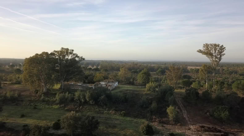 Huelva - Moguer - 1500000m2