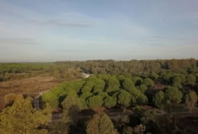 Moguer 1500000&nbsp;м²