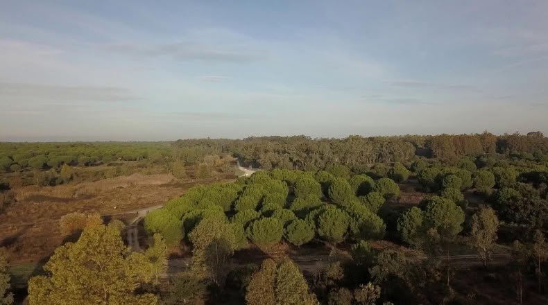 Huelva - Moguer - 1500000m2