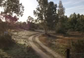 Земельный участок на продажу в городе Moguer Фото