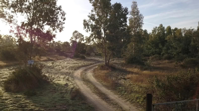 Huelva - Moguer - 1500000m2