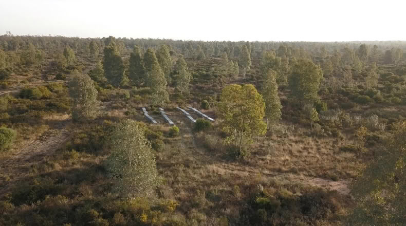 Huelva - Moguer - 1500000m2