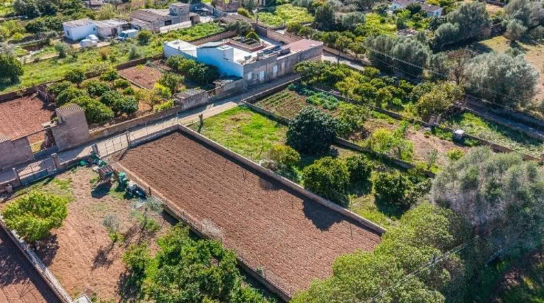Illes Balears - San Lorenzo del Cardessar - 483m2