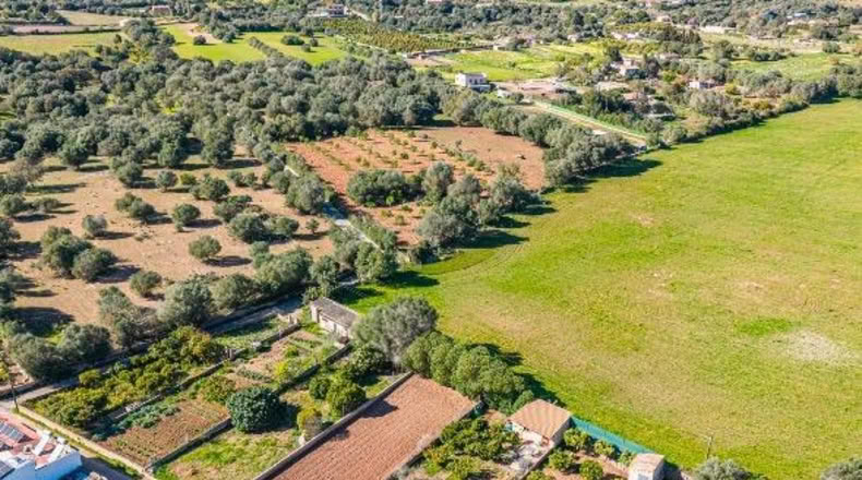 Illes Balears - San Lorenzo del Cardessar - 483m2