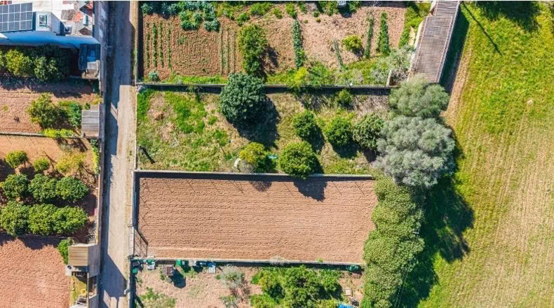 Illes Balears - San Lorenzo del Cardessar - 483m2