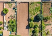 Terreny no urbanitzable en venda a la España, Sant Llorenç des Cardassar, ref.: TR402867 foto