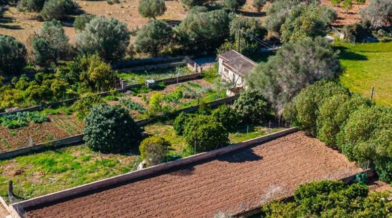 Illes Balears - San Lorenzo del Cardessar - 483m2