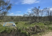 Non-developable land for sale on España, El Viso de San Juan, ref: TR402870 photo