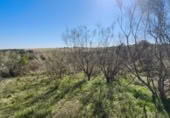 Non-developable land for sale on España, El Viso de San Juan, ref: TR402870 photo
