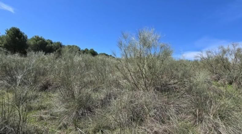 Toledo - El Viso de San Juan - 26m2