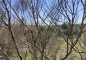 Non-developable land for sale on España, El Viso de San Juan, ref: TR402870 photo