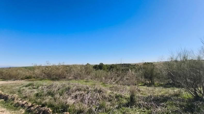 Toledo - El Viso de San Juan - 26m2