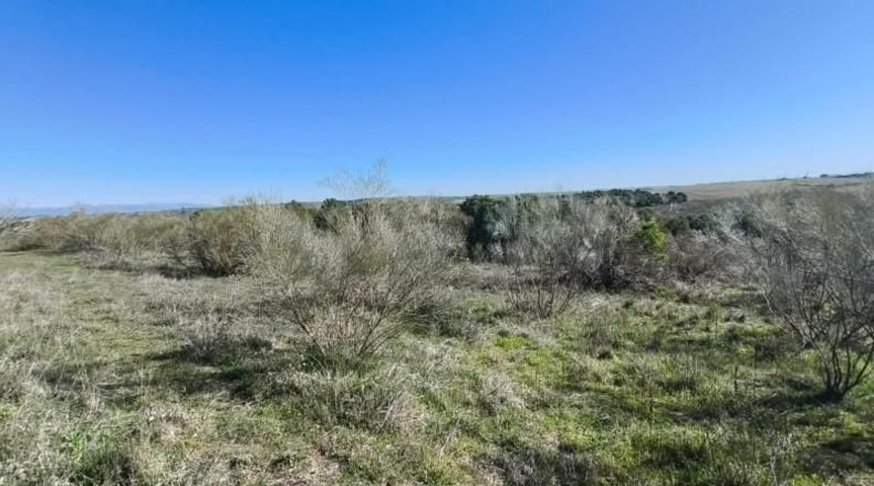 Toledo - El Viso de San Juan - 26m2