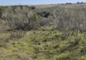 Non-developable land for sale on España, El Viso de San Juan, ref: TR402870 photo