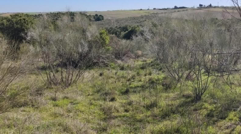 Toledo - El Viso de San Juan - 26m2