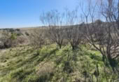Non-developable land for sale on España, El Viso de San Juan, ref: TR402870 photo