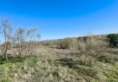 Non-developable land for sale on España, El Viso de San Juan, ref: TR402870 photo
