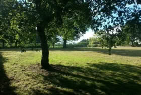 Lugo 2036&nbsp;m²