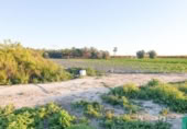 Non-developable land for sale on España, Elche, ref: TR402880 photo
