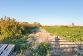 Elx 13323&nbsp;m² 