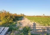 Non-developable land for sale on España, Elche, ref: TR402880 photo