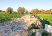 Non-developable land for sale on España, Elche, ref: TR402880 photo