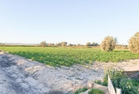 Elx 13323&nbsp;m² 