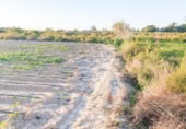Non-developable land for sale on España, Elche, ref: TR402880 photo