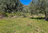 Terreny no urbanitzable en venda a la España, la Ràpita, ref.: TR402888 foto