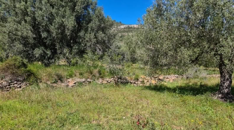 Tarragona - la Ràpita - 28159m2