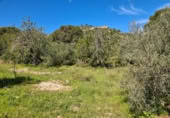 Terreny no urbanitzable en venda a la España, la Ràpita, ref.: TR402888 foto
